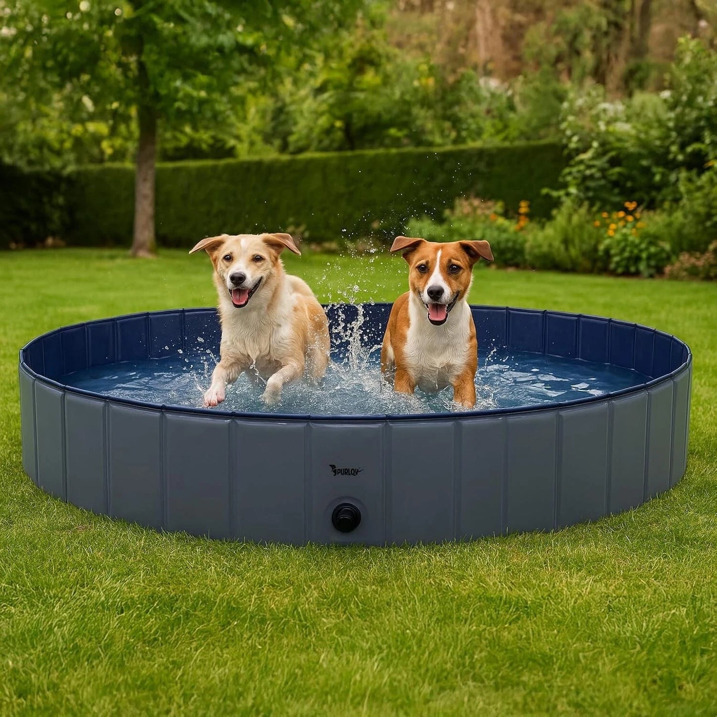 Piscina per Cani 160 x 160 x 30 h cm piscina per bagno cani e animali con scarico acqua