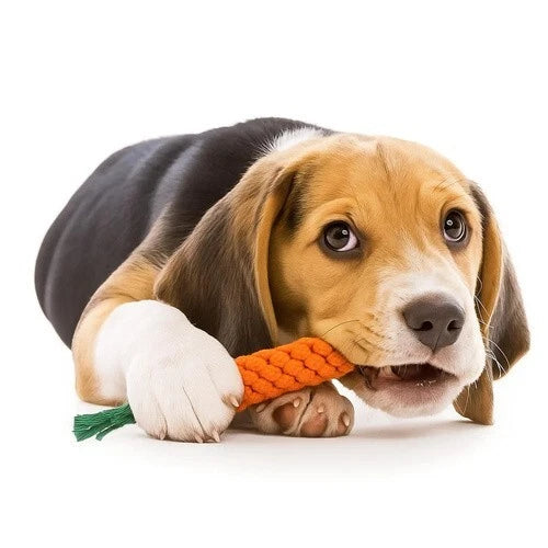 Set di Giocattoli Interattivi per Cani 16 Pezzi Corda da Masticare regalo cani