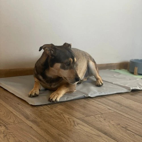 lettino refrigerante tappeto rinfrescante per cuccioli e animali 90x50 cm