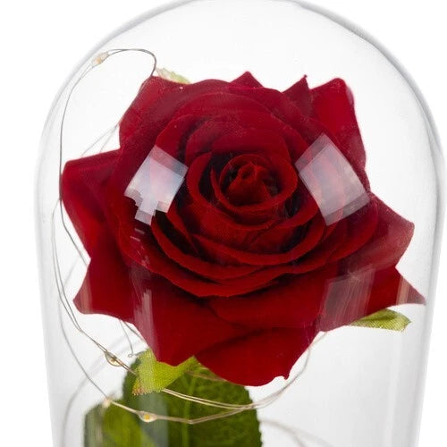 Rosa Eterna luci led Bella La Bestia Rosa Stabilizzata In Vetro + scatola regalo