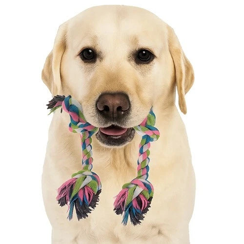 Set di Giocattoli Interattivi per Cani 16 Pezzi Corda da Masticare regalo cani