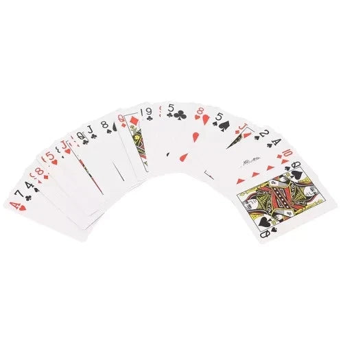 Chips Poker Set da Poker di 500 fiches, Inclusi 2 Mazzi di Carte da Poker 5 Dadi