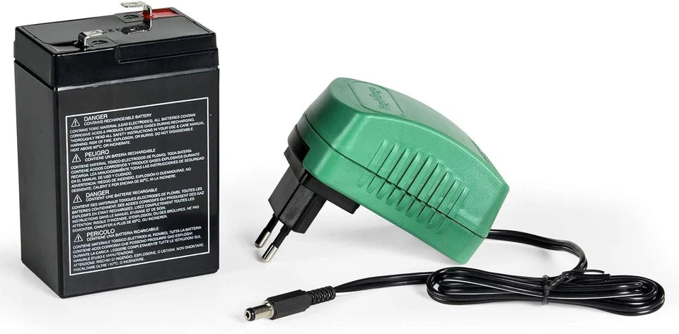 PegPerego Flower Princess moto elettrica bambina rosa batteria ricaricabile 6 v