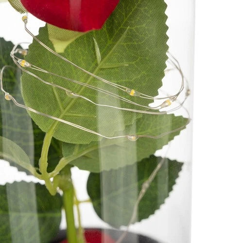 Rosa Eterna luci led Bella La Bestia Rosa Stabilizzata In Vetro + scatola regalo