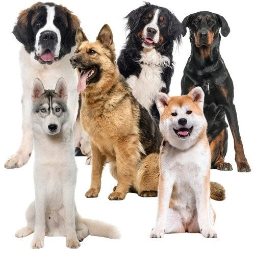 Tappetino refrigerante per cani grandi tappeto rinfrescante animali 110x70 cm
