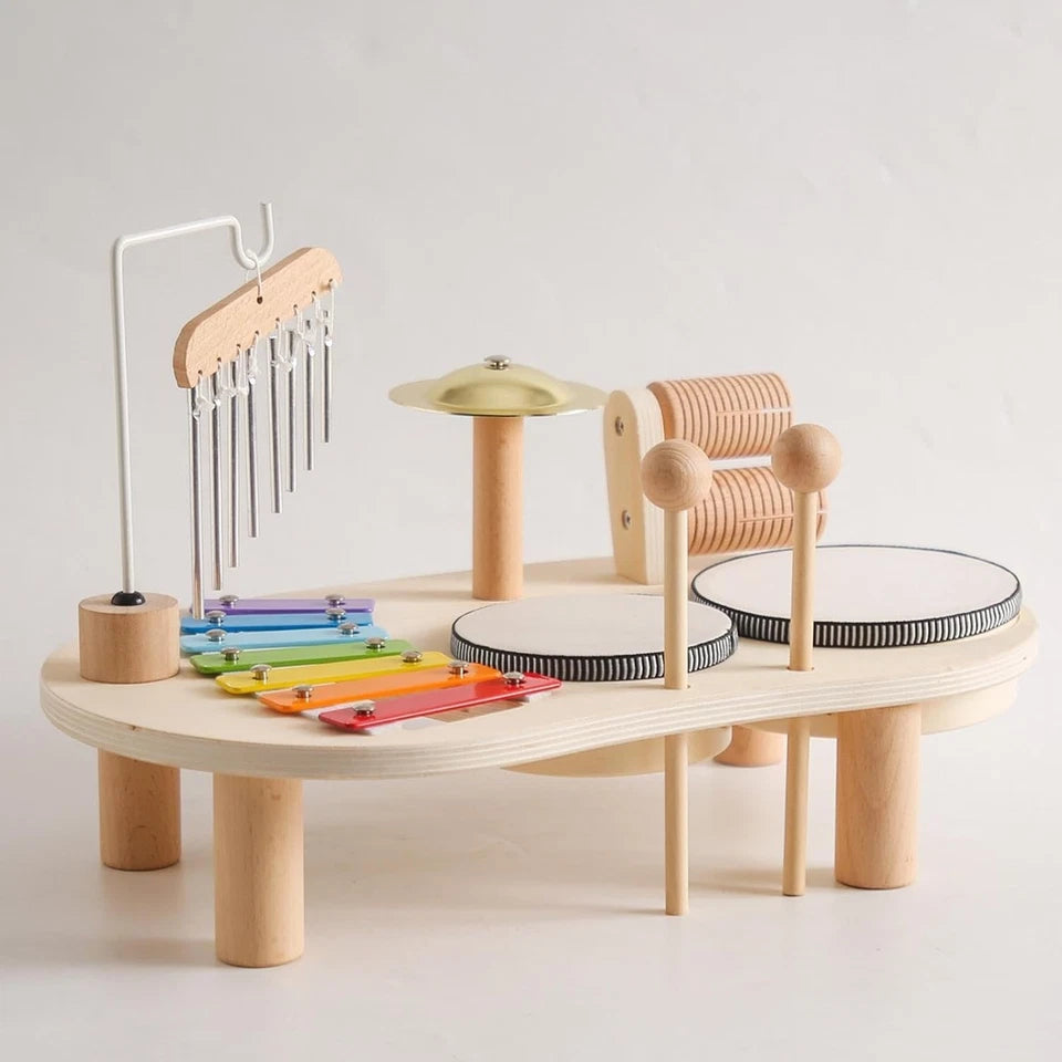 Montessori Set strumenti musicali per bambini educativo con xilofono per bambini